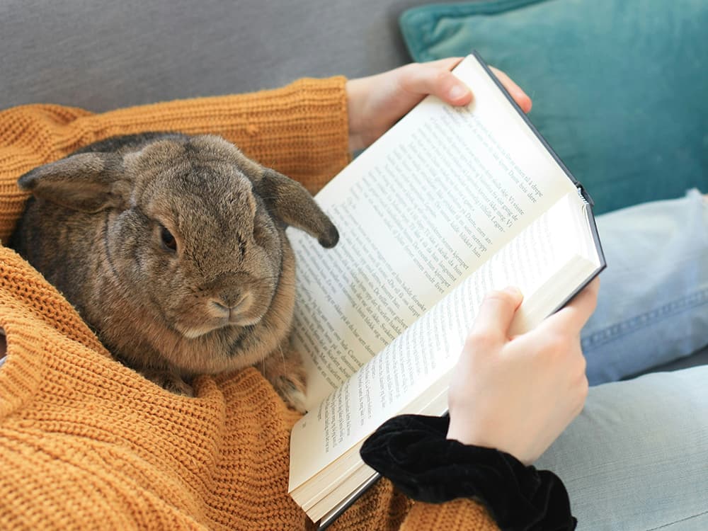 Woman reading with a bunny